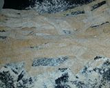 Foto del paso 3 de la receta: Fideos Integrales Caseros