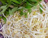 Hình bước làm 6 của món Giá đỗ nhà làm