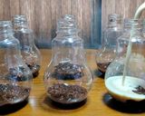 Foto langkah ke 10 dari resep Booster Saat Puasa | Susu Kurma Jelly (195).