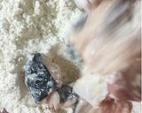 Foto langkah ke 3 dari resep Patin Fillet Goreng Tepung.