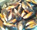Foto del paso 1 de la receta: Mejillones con salsa brava
