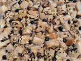 Pudding Roti Tawar Cokelat Granola Panggang