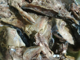 Gulai Ikan Tongkol Nasi Dagang Terengganu