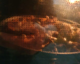 Foto del paso 4 de la receta: Paella de sepia y berberechos