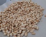 Foto langkah ke 3 dari resep Kacang Bawang | Kacang Tojin.