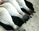 صورة لخطوة 4 من وصفة سمك بالخضار في الفرن