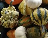 Une image de l'étape 12 de Velouté potimarron châtaignes 🌰🥄. Automne🥬R.