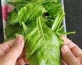 पालक पराठा (palak paratha recipe in Hindi) रेसिपी चरण 1 फोटो