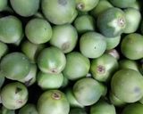 பச்சை சுண்டைக்காய் குழம்பு ரெசிபி ஸ்டேப் 1 புகைப்படம்