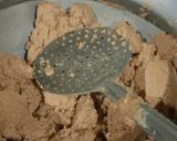 A picture of step 2 of Wheat flour and Rawa ladoo.