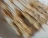 Foto langkah ke 5 dari resep Sate taican.
