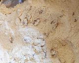 Foto del paso 2 de la receta: Mi primer pan de nuez, súper fácil