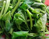 Hình bước làm 1 của món Ngọn bí xào tỏi