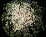 Foto del paso 1 de la receta: BOCADILLO De Morcilla Murciana de Berenjenas...!