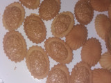 صابلي الصدفة