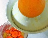 Foto del paso 2 de la receta: Elixir de piña, zanahoria, jengibre y cúrcuma