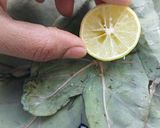 A picture of step 4 of Colocasia Leaves/Patod/Patra/Arbi ke patte.