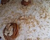 Foto del paso 13 de la receta: TORTA MANJAR/NUEZ
