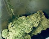 Foto del passaggio 4 della ricetta Sale aromatizzato al basilico