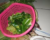 Foto langkah ke 20 dari resep Food Preparation Sederhana(1-2pekan).