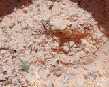 A picture of step 5 of Missi Roti.