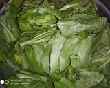 পালং পনির (palang paneer recipe in Bengali) রেসিপির ধাপ 1 ছবি