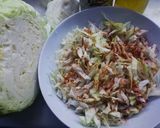 Foto del paso 1 de la receta: Repollo templado al pimentón