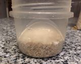 Foto del paso 1 de la receta: Desayuno en frasco para llevar light con yogur y avena