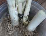 Foto langkah ke 4 dari resep Simpan daun bawang #tipsretjeh1.