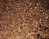 Foto del paso 3 de la receta: Garrapiñadas