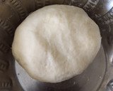 A picture of step 1 of Dumpling soup.
