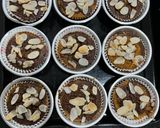 Foto langkah ke 5 dari resep Muffin Labu Pisang / Pumpkin Banana Muffin (MPASI friendly).