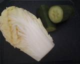 Japanese Pickled Hakusai Sald (V,GF) recipe step 1 photo