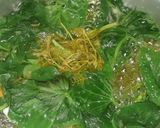 Foto langkah ke 6 dari resep Sayur Bening Daun Telo.