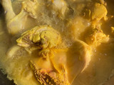 Ayam ungkep bumbu kuning