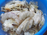 Kaldu bubuk Udang