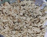 पापड़ के भरवा पराठे (Papad ke bharwan parathe recipe in hindi) रेसिपी चरण 2 फोटो
