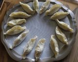 Une image de l'étape 9 de Gyozas.