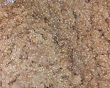 Foto del paso 4 de la receta: Guiso de porotos frutilla y quinoa