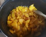 Foto del paso 2 de la receta Mermelada de melocotón