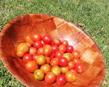 Foto del paso 1 de la receta: Ensalada tomates Cherry-escabeche