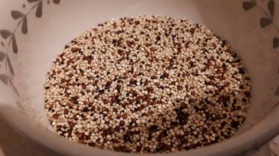 Ensalada de alubias, quinoa tricolor y queso feta