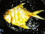पापलेट फिश फ्राय (paplet fish fry recipe in marathi)