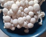 Foto langkah ke 1 dari resep Tumis Brokoli Jamur.
