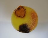 Une image de l'étape 2 de Choux fleur rôti aux épices.