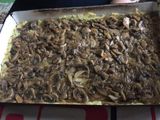 Kapros burgonyapüré fasírttal