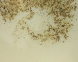 A picture of step 1 of Masala Chai.