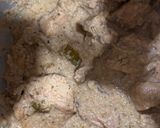A picture of step 2 of Chicken khorma.