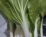 Foto langkah ke 1 dari resep Sayur Bening Pakcoy Wortel Segar 🥬🥕.