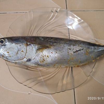 Langkah 3